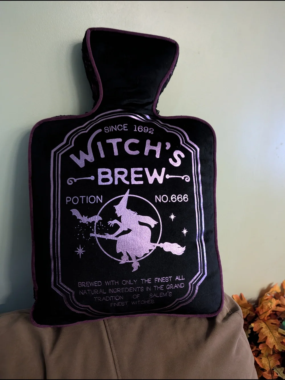Witch's Brew Velvet Decorative Pillow - Black & Purple